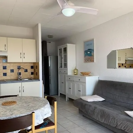 Avec Jardinet, Terrasse, Animaux Admis - Fr-1-503-31 Apartment Balaruc-les-Bains
