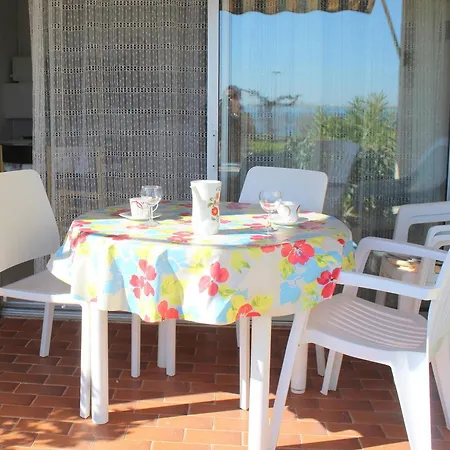 Apartment Avec Jardinet, Terrasse, Animaux Admis - Fr-1-503-31 Balaruc-les-Bains